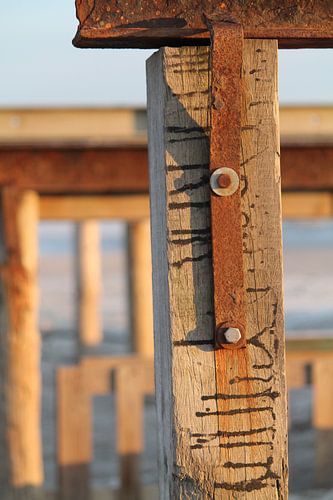 Roest en strandpalen verticaal