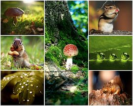 herfst collage 3 von Marja Hoebe
