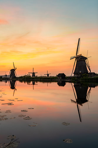 Molenrij van Kinderdijk bij zonsondergang