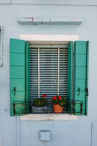 das grüne Fenster