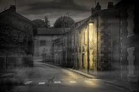 The village cat