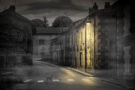 Die Dorfkatze von Harry van Rhoon