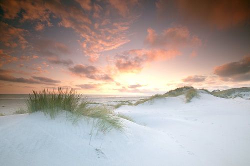 S avondsfeer op het strand