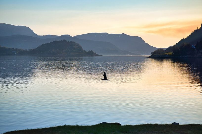 Fjord en Norvège au coucher du soleil par Martin Köbsch