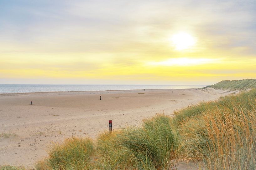 Sunrise in the dunes at Texel island in the Wadden Sea region by Sjoerd van der Wal Photography