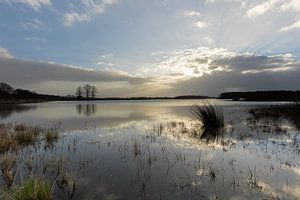 Weerspiegeling op het water van KB Design & Photography (Karen Brouwer)