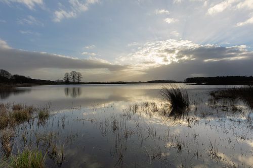 Reflection on the water