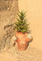 italian vase