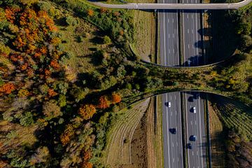 Herfst ecopassage oversteek van Maarten Zeehandelaar