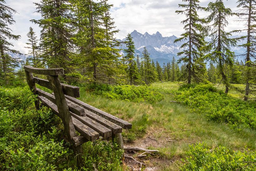 Berglandschaft "Rastbank mit Aussicht" von Coen Weesjes