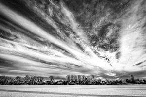 Winterlandschap met boom en sneeuw en wolkenformatie in zwart-wit van Dieter Walther