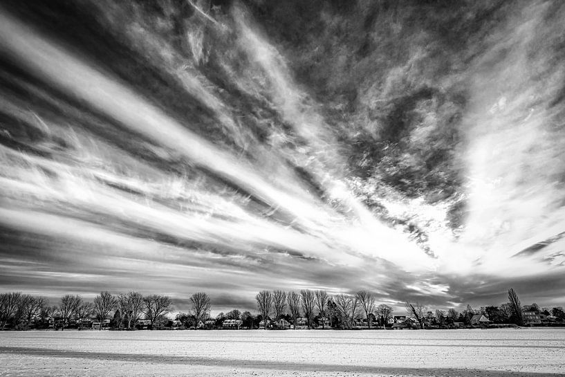 Winterlandschap met boom en sneeuw en wolkenformatie in zwart-wit van Dieter Walther