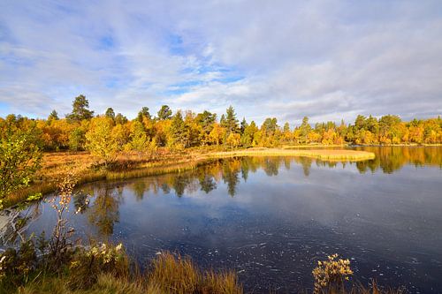 Roe Natuurreservaat in Zweden