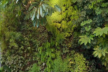 Groene muur 4914 van Serge Sautereau