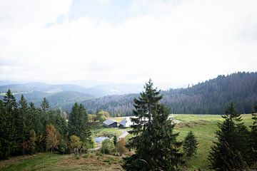 Vue du Feldberg dans la Forêt Noire