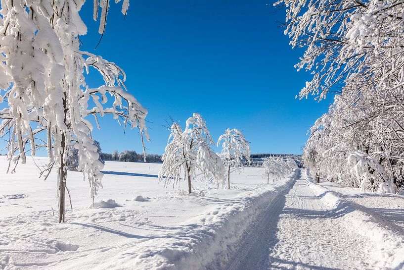 Winterse sneeuw van Johnny Flash