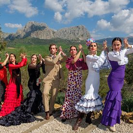 Flamenco in den Bergen 4 von Peter Laarakker