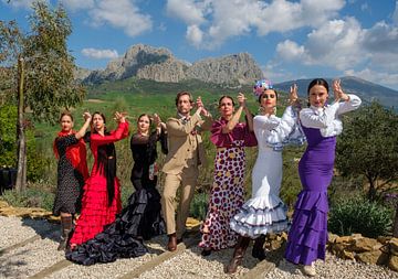 Flamenco in de bergen 4 van Peter Laarakker