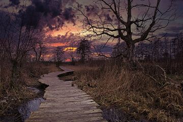 Stilvoller Abendspaziergang von Joran Quinten