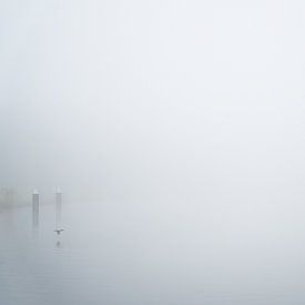 mistlandschap Oude IJssel van Karin in't Hout