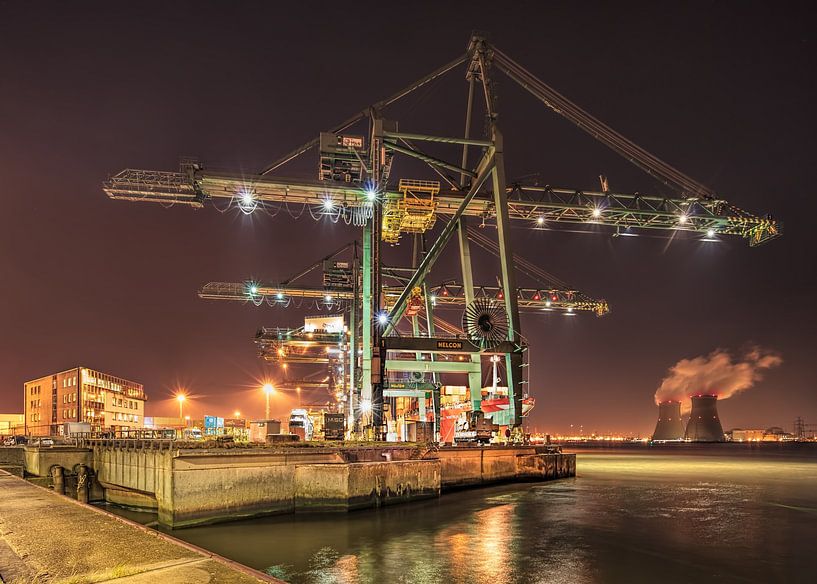 Container terminal kraan met elektriciteitscentrale op de achtergrond, Antwerpen van Tony Vingerhoets