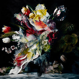Zwischen Blüte und Werden von Jacco Hinke