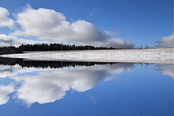 The first snow in autumn by Claude Laprise