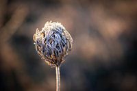 Winter bereit