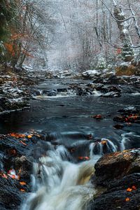 Fluss im Hohen Venn an einem schönen Wintertag mit Schnee.
