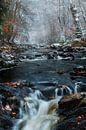 Fluss im Hohen Venn an einem schönen Wintertag mit Schnee. von Jos Pannekoek Miniaturansicht