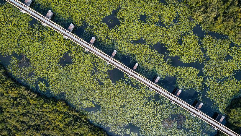 Moerputten bridge. by PEEQ.