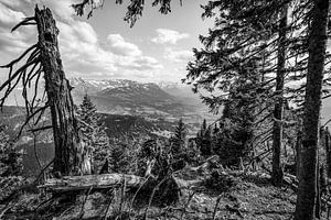 Ausblick Allgäuer Alpen