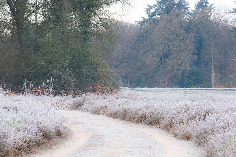 marche dans le froid par Tania Perneel