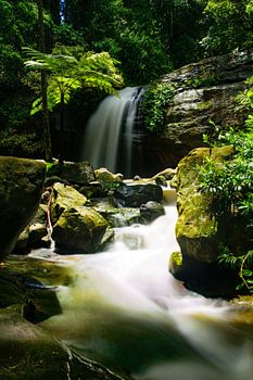 Chute d'eau dans la jungle