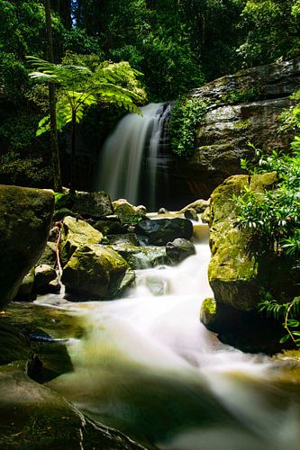 Waterfall in the jungle