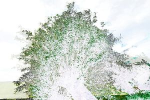 Gestörte Landschaft #004