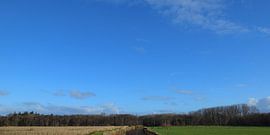 Who is afraid of blue, brown and green? van Georges Hoeberechts