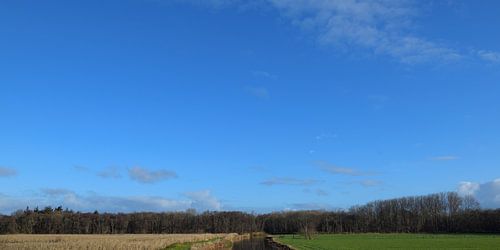 Who is afraid of Blue, Brown and Green?