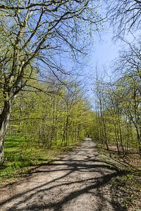 Rad- Wanderweg  entlang am Naturstrand in der Goor
