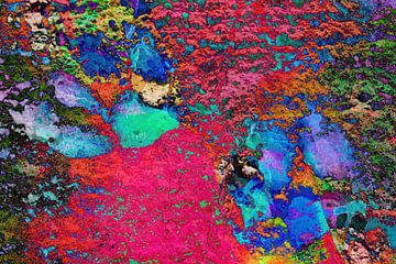 Paw Prints Farbexplosion von Dorothy Berry-Lound