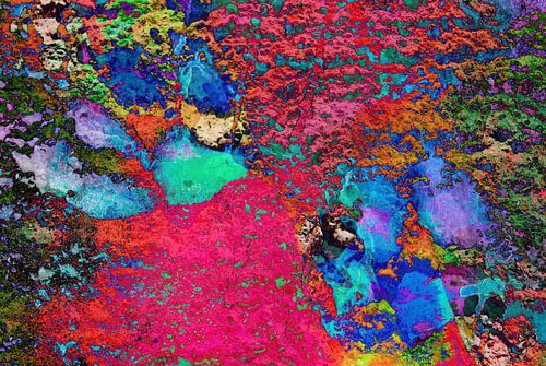 Paw Prints Color Explosion