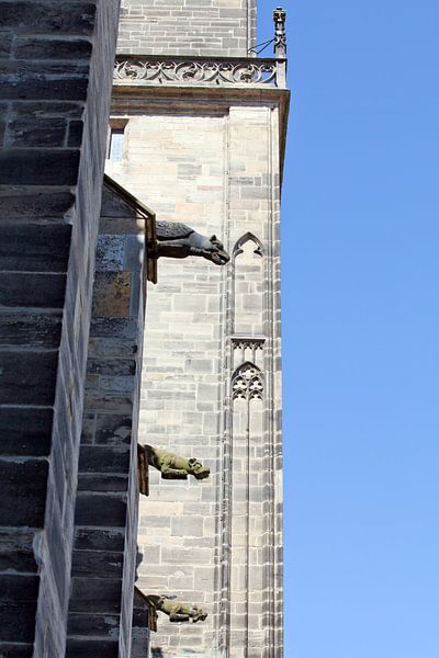 Gargoyle at the Magdeburg Cathedral (Saxony-Anhalt) by t.ART
