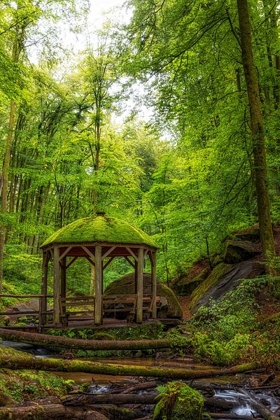 Pavilion in the forest by Thomas Herzog