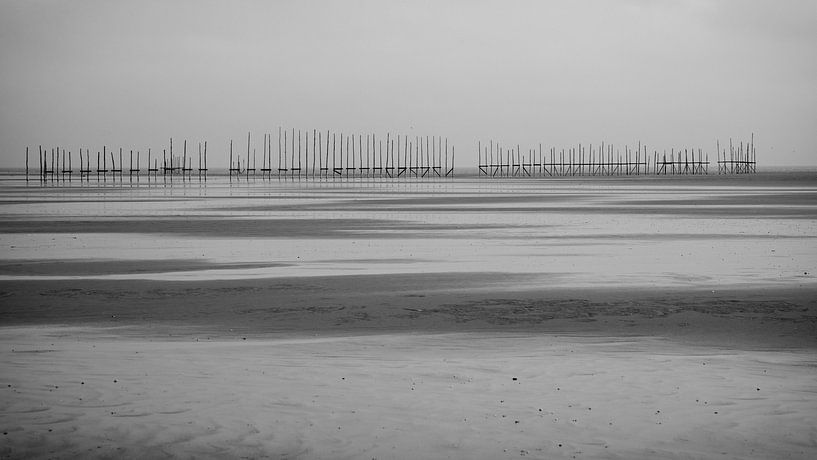 Auf den Vliehors ist eine Reihe von Stöcken am Horizont zu sehen von Hans de Waay