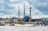 Segelschiffe auf der Hansesail in Rostock von Rico Ködder Miniaturansicht