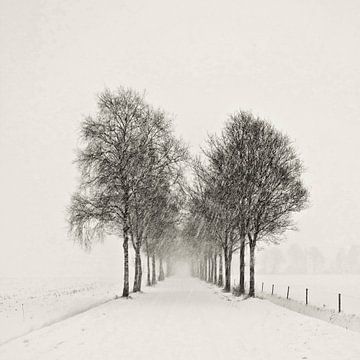 Winter sneeuwstorm van Gert Hilbink