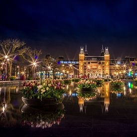 amsterdam tulips by night sur Ion Chih