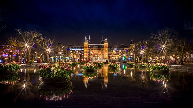 amsterdam tulips by night by Ion Chih