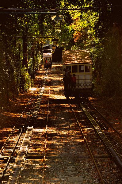 Trains par Sabrina Varao Carreiro