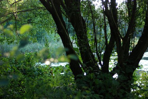 Look outside! Citygreen!